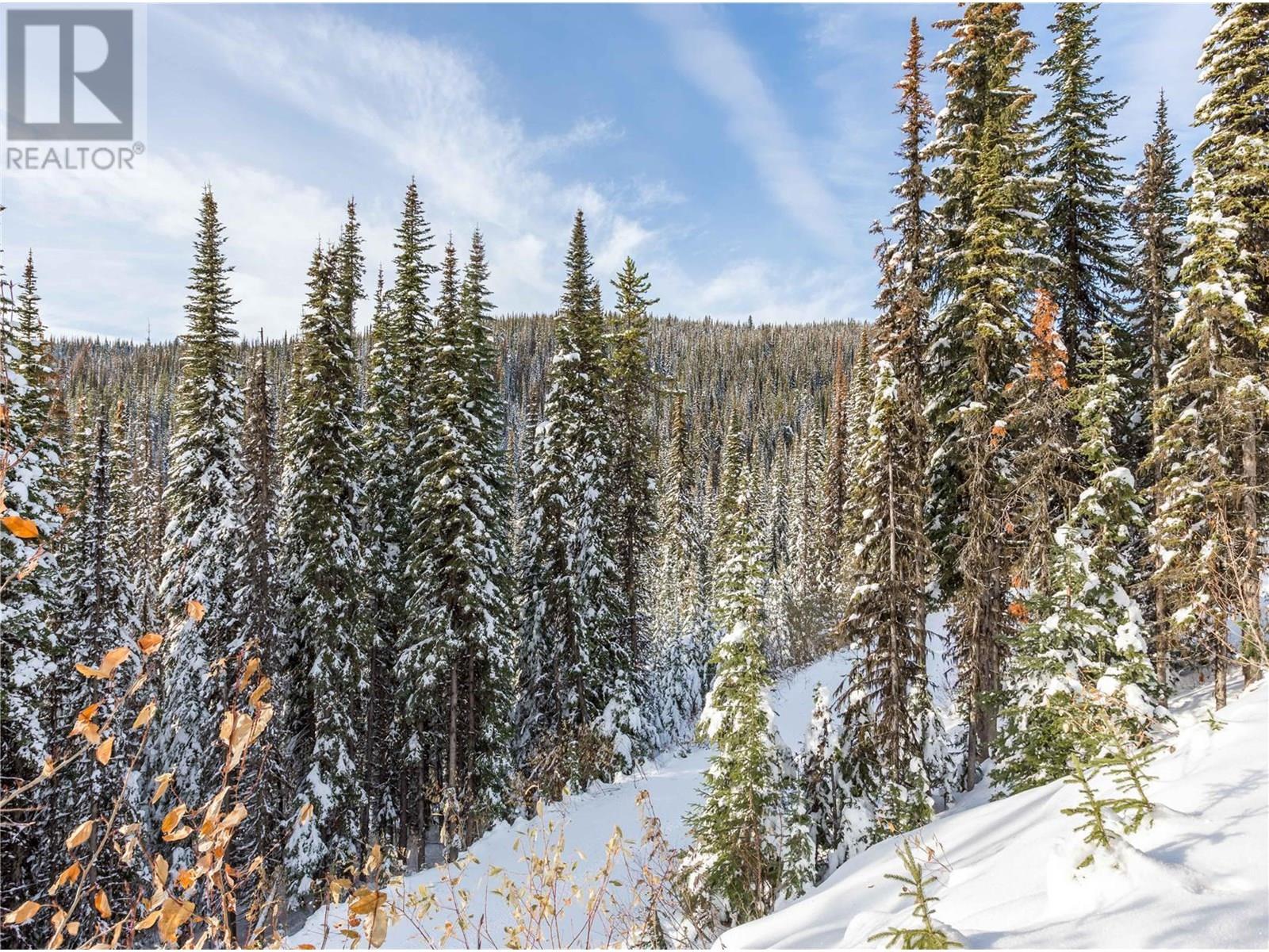 9966 Purcell Drive, Silver Star, British Columbia  V1B 3M1 - Photo 35 - 10355409