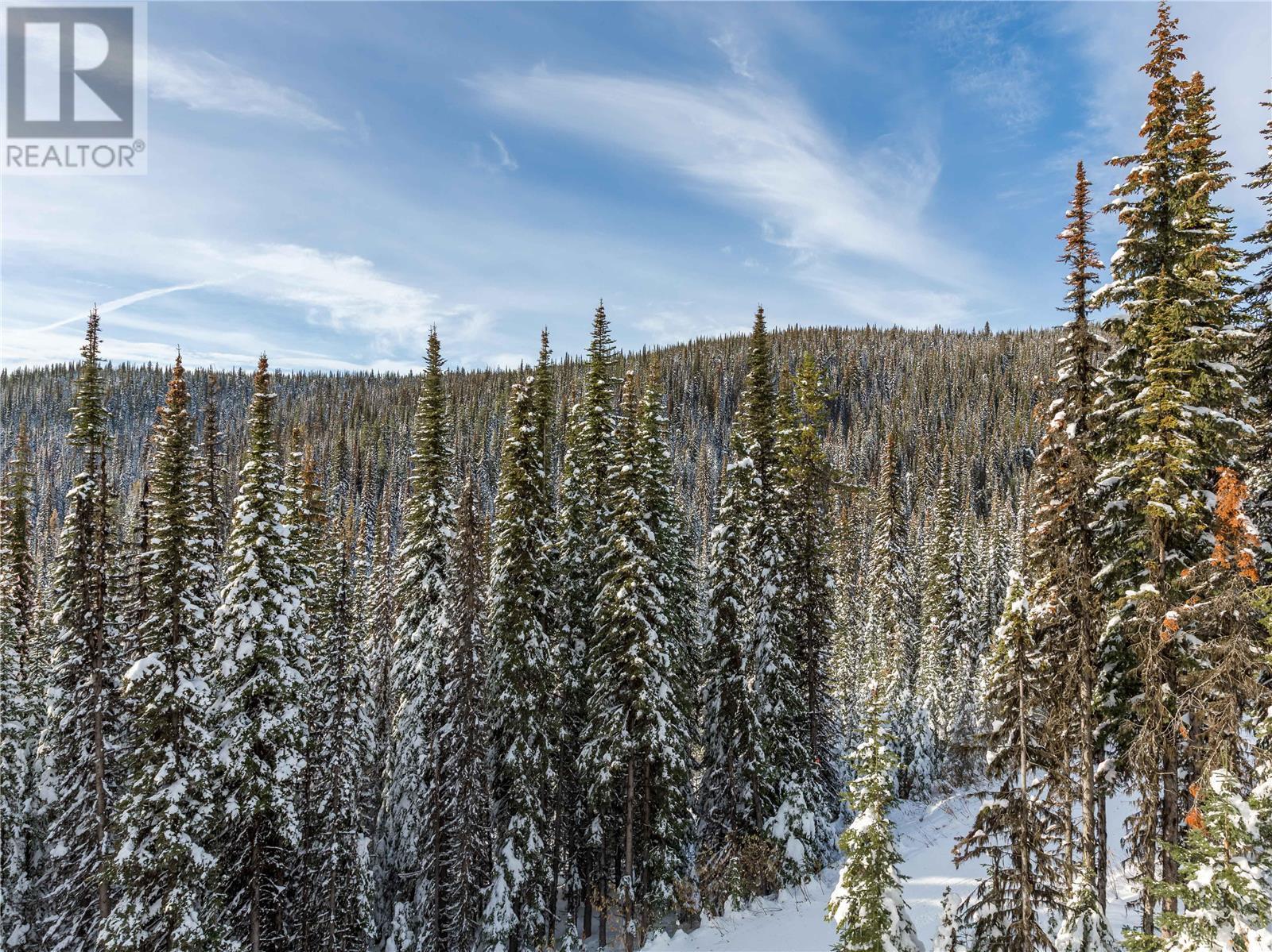 9966 Purcell Drive, Silver Star, British Columbia  V1B 3M1 - Photo 23 - 10355409