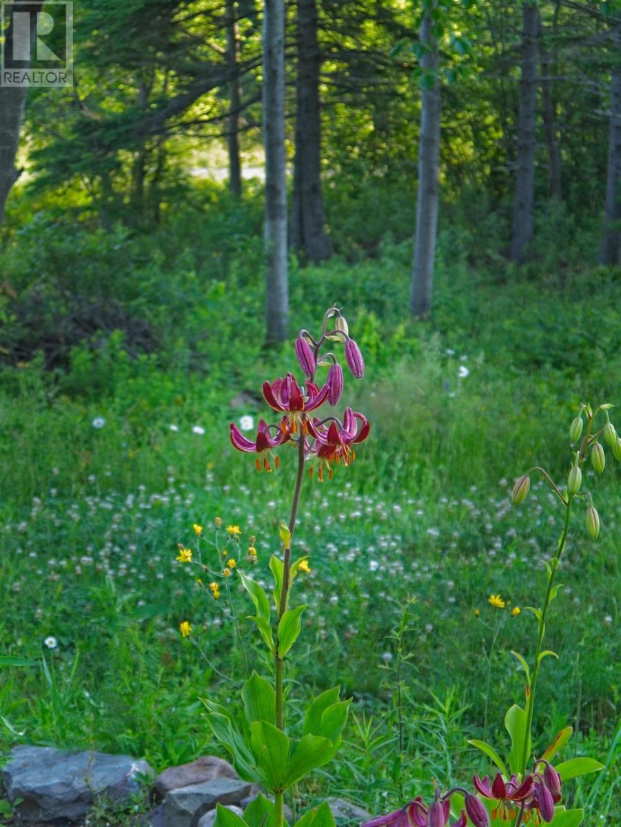 276 Linwood Harbour Road, East Tracadie, Nova Scotia  B0H 1P0 - Photo 37 - 202508540