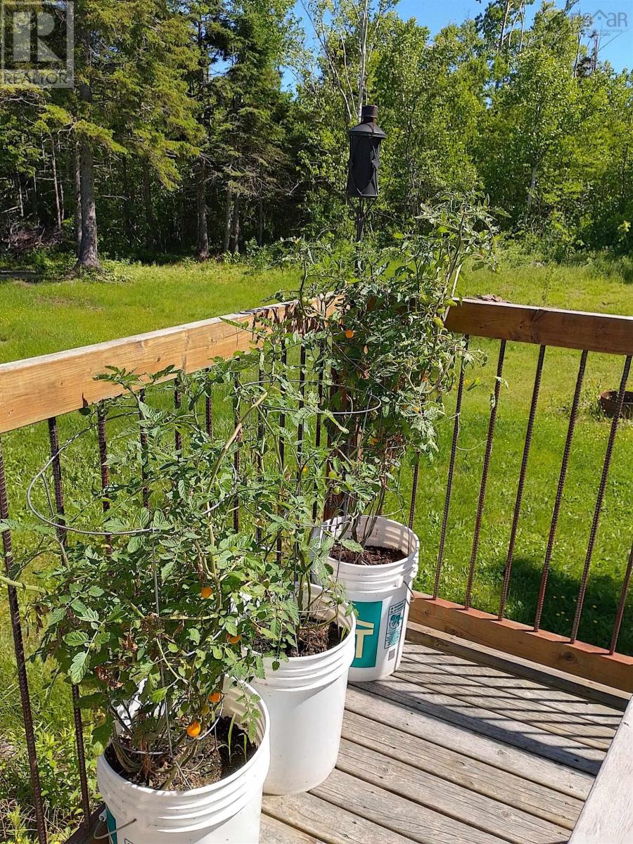 276 Linwood Harbour Road, East Tracadie, Nova Scotia  B0H 1P0 - Photo 45 - 202508540