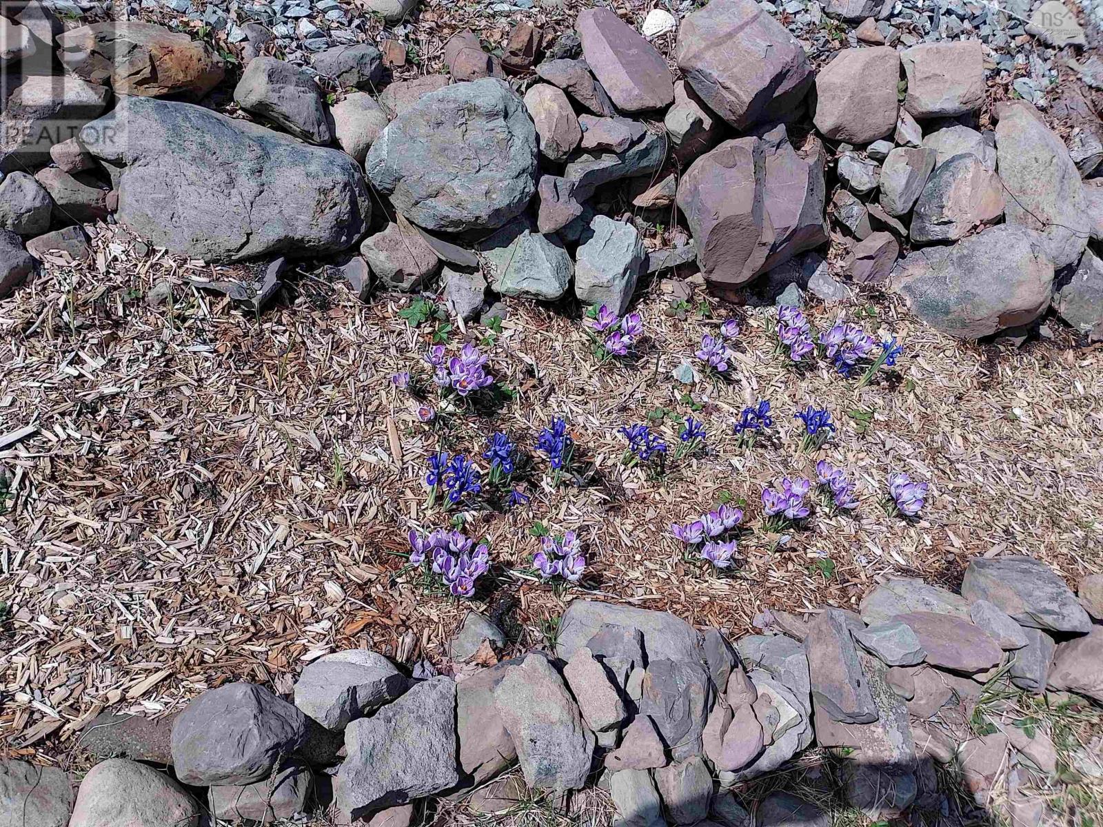 276 Linwood Harbour Road, East Tracadie, Nova Scotia  B0H 1P0 - Photo 43 - 202508540