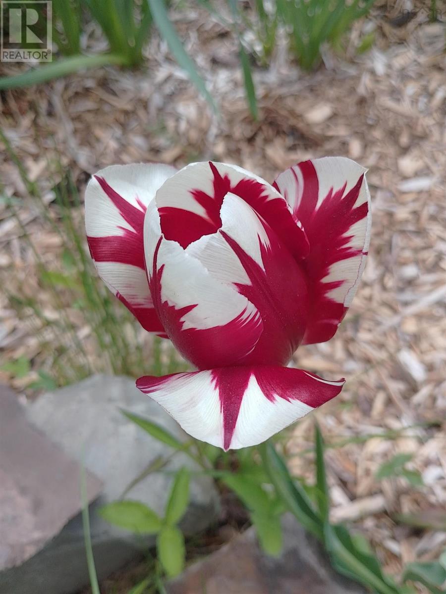 276 Linwood Harbour Road, East Tracadie, Nova Scotia  B0H 1P0 - Photo 44 - 202508540