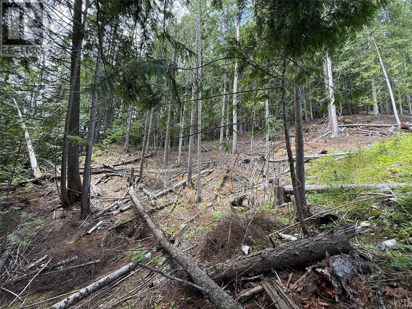 B Avenue Lot# 16,17,18, Kaslo, British Columbia  V0G 1M0 - Photo 1 - 10355829