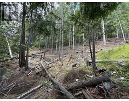 B Avenue Lot# 16,17,18 Balfour to Kaslo West
