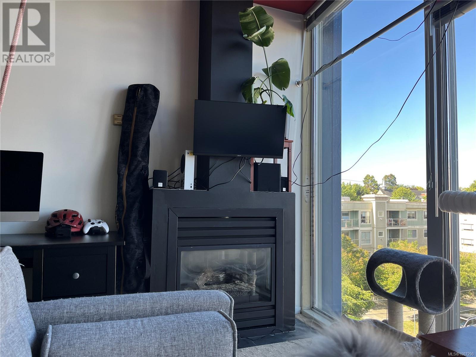 418 1061 Fort St, Victoria, British Columbia  V8V 5A1 - Photo 4 - 1007290