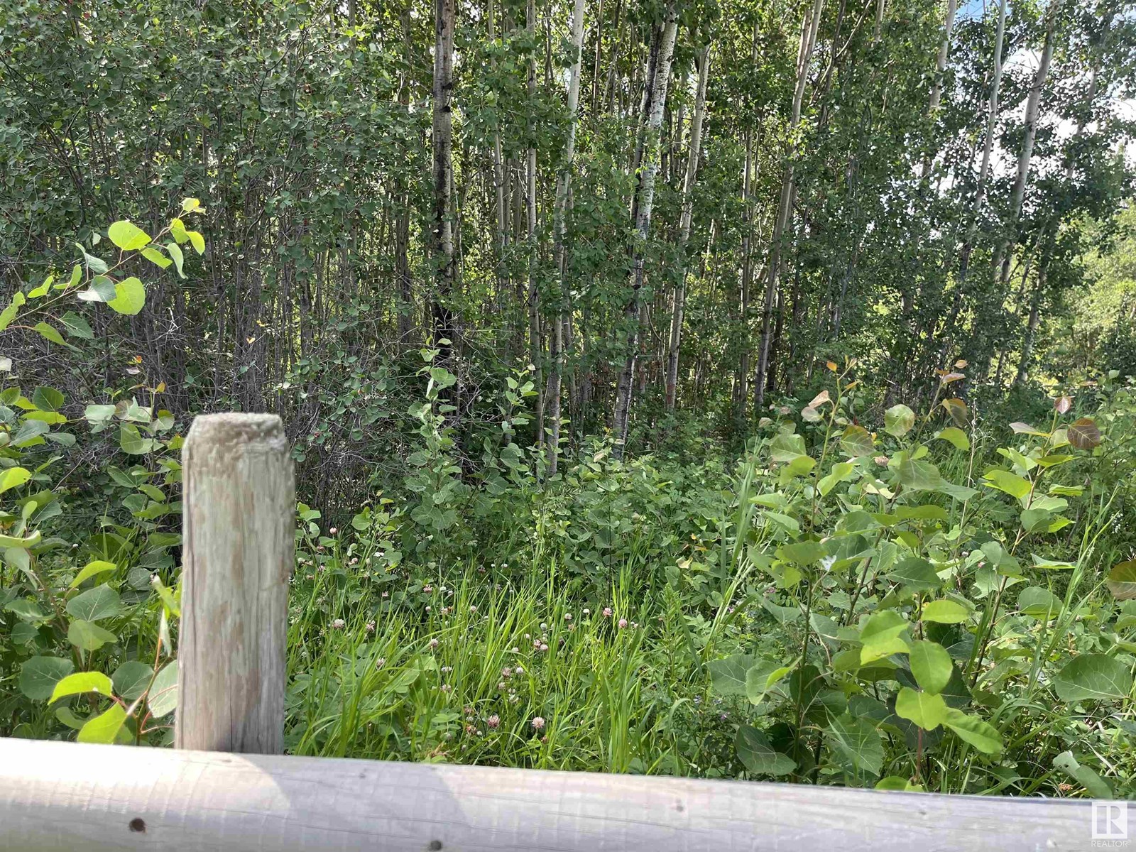 #3 62103 Range Road 133a, Rural Smoky Lake County, Alberta  T0A 3C0 - Photo 17 - E4423491