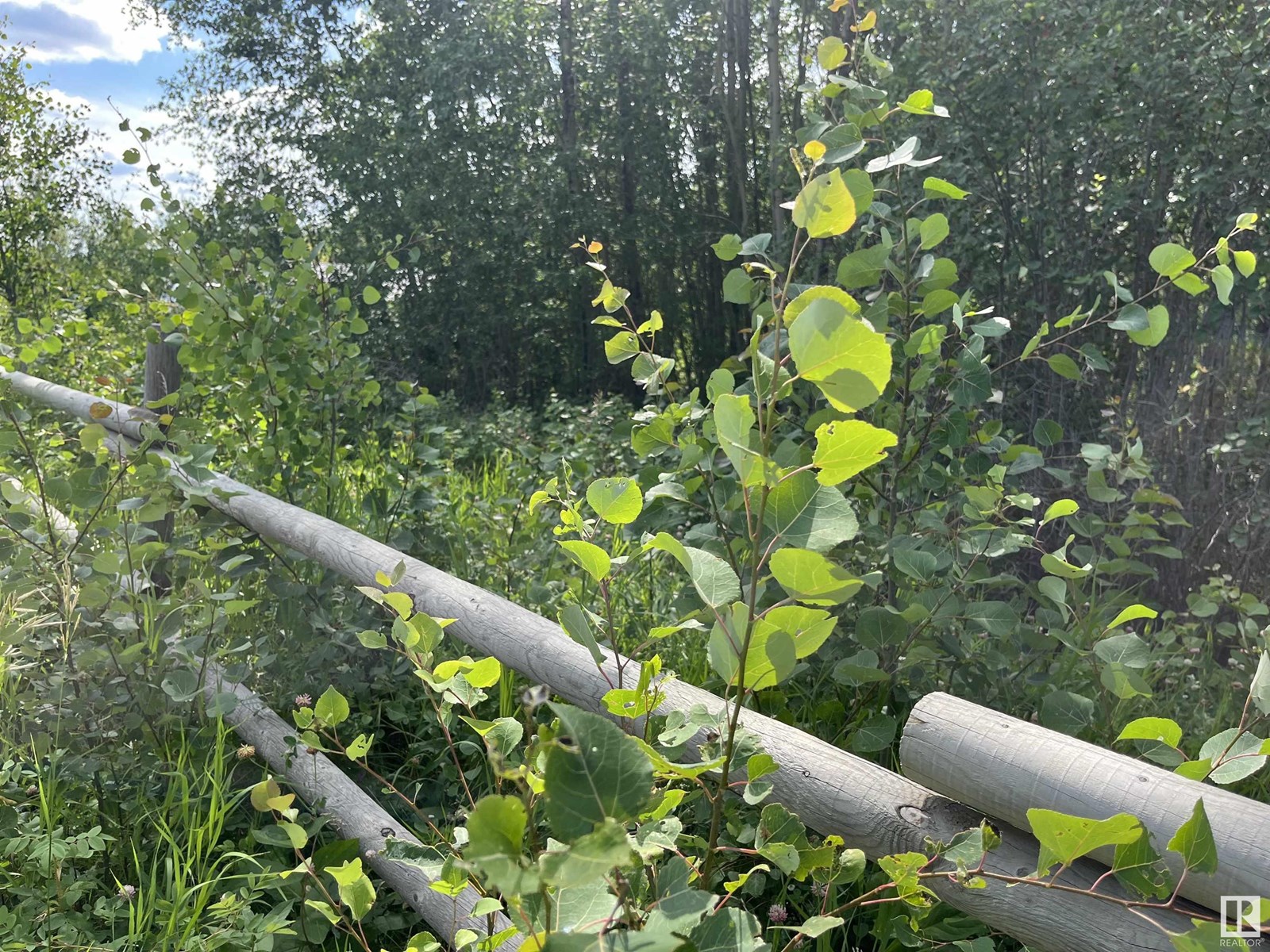 #3 62103 Range Road 133a, Rural Smoky Lake County, Alberta  T0A 3C0 - Photo 16 - E4423491