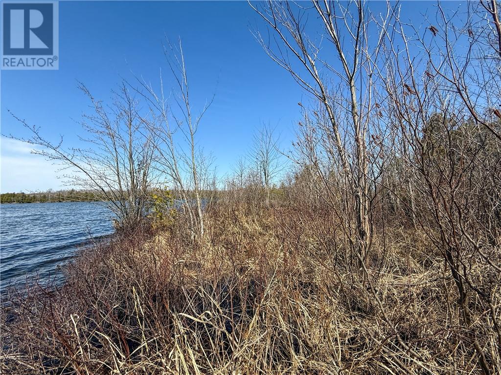 N/a Ice Lake Drive, Manitoulin Island, Ontario  P0P 1H0 - Photo 22 - 2121918