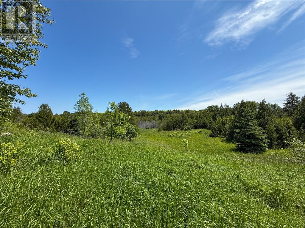 N/a Ice Lake Drive, Manitoulin Island, Ontario  P0P 1H0 - Photo 3 - 2121918
