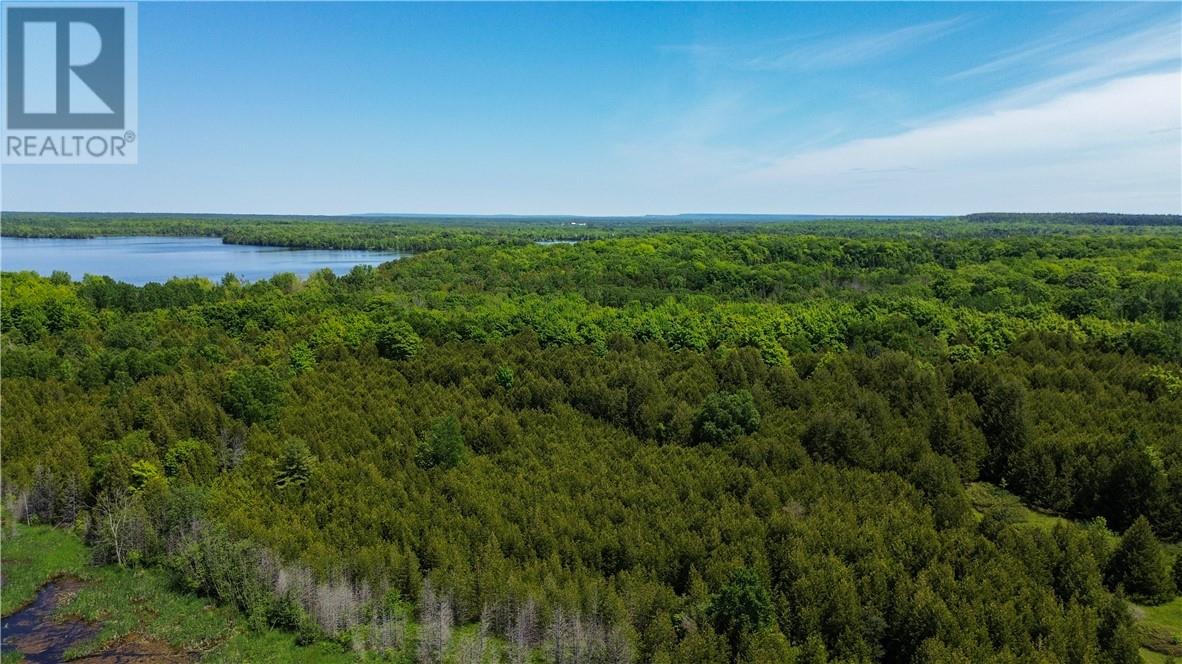 N/a Ice Lake Drive, Manitoulin Island, Ontario  P0P 1H0 - Photo 5 - 2121918
