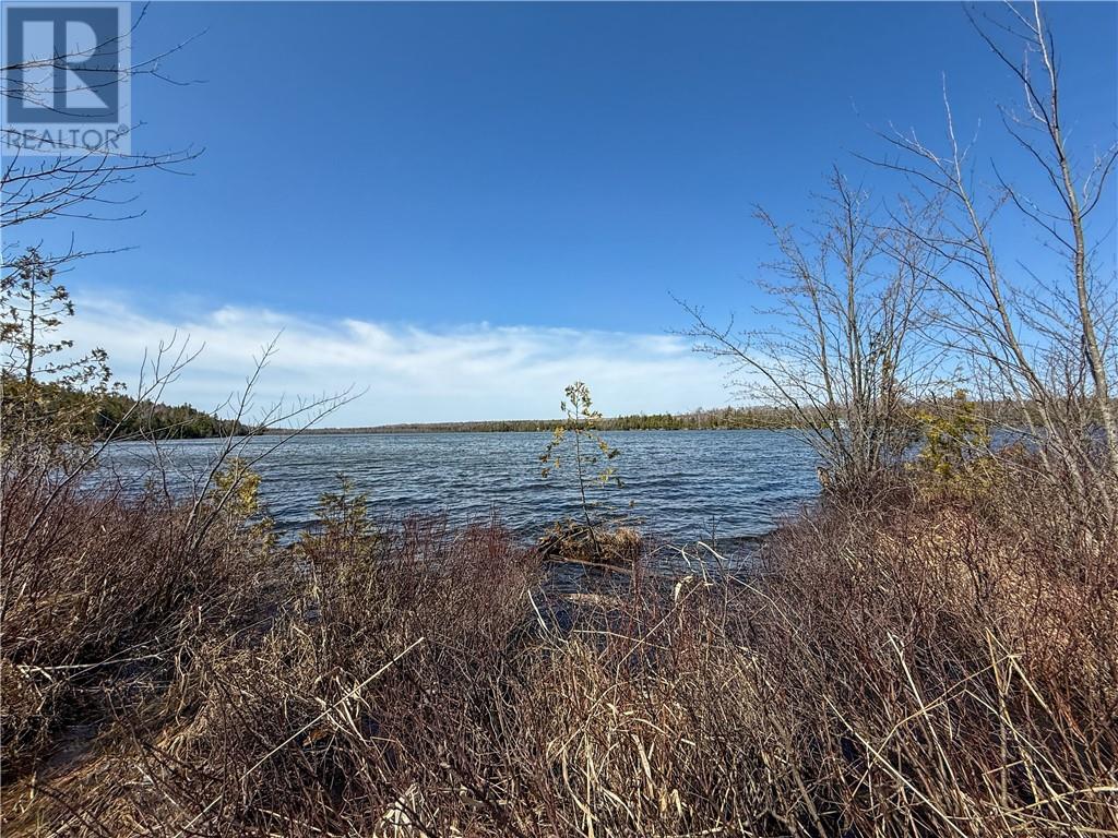 N/a Ice Lake Drive, Manitoulin Island, Ontario  P0P 1H0 - Photo 21 - 2121918
