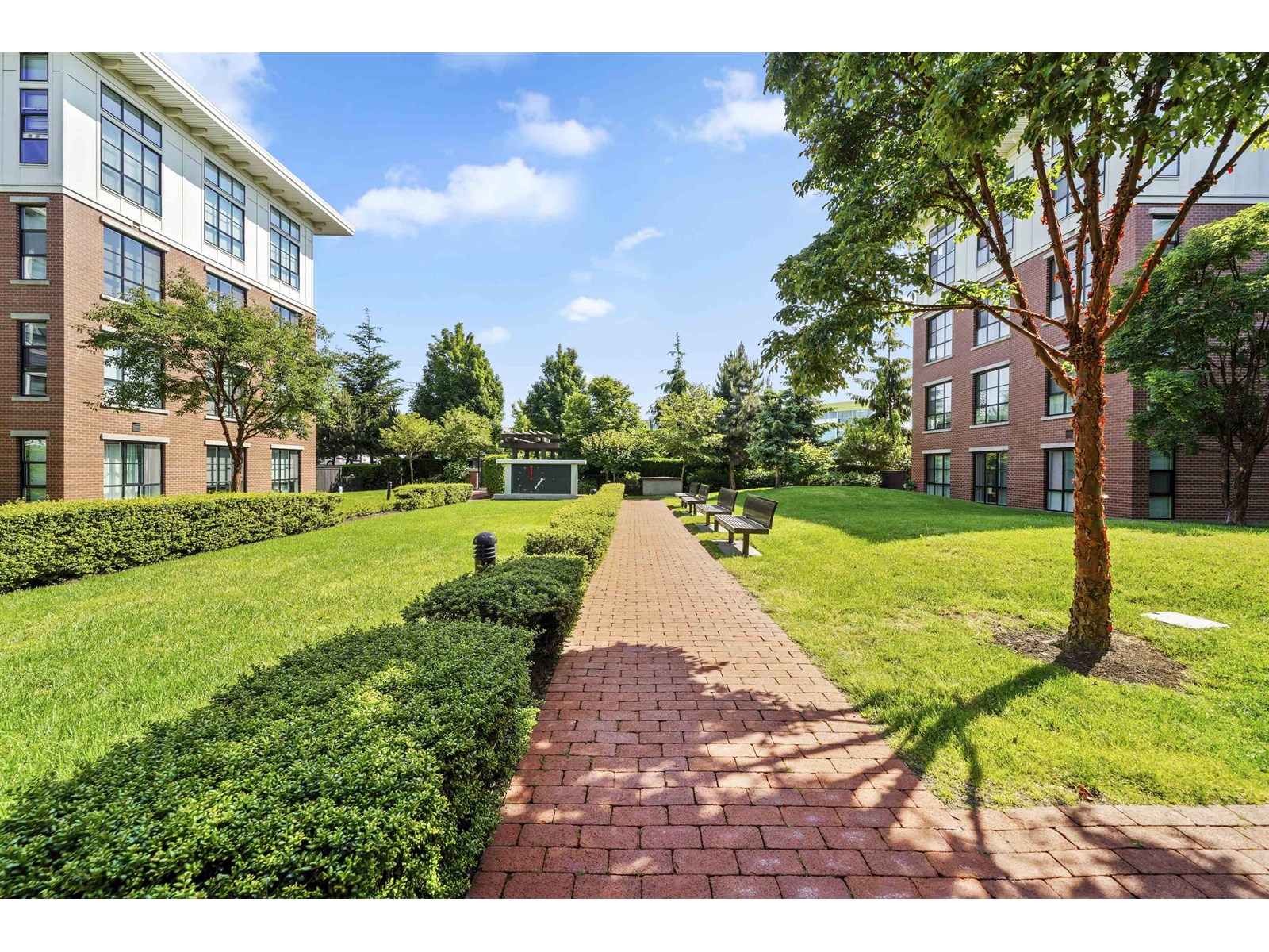 217 15168 33rd Avenue, Surrey, British Columbia V3Z 0N7 - Photo 24 - R3026686