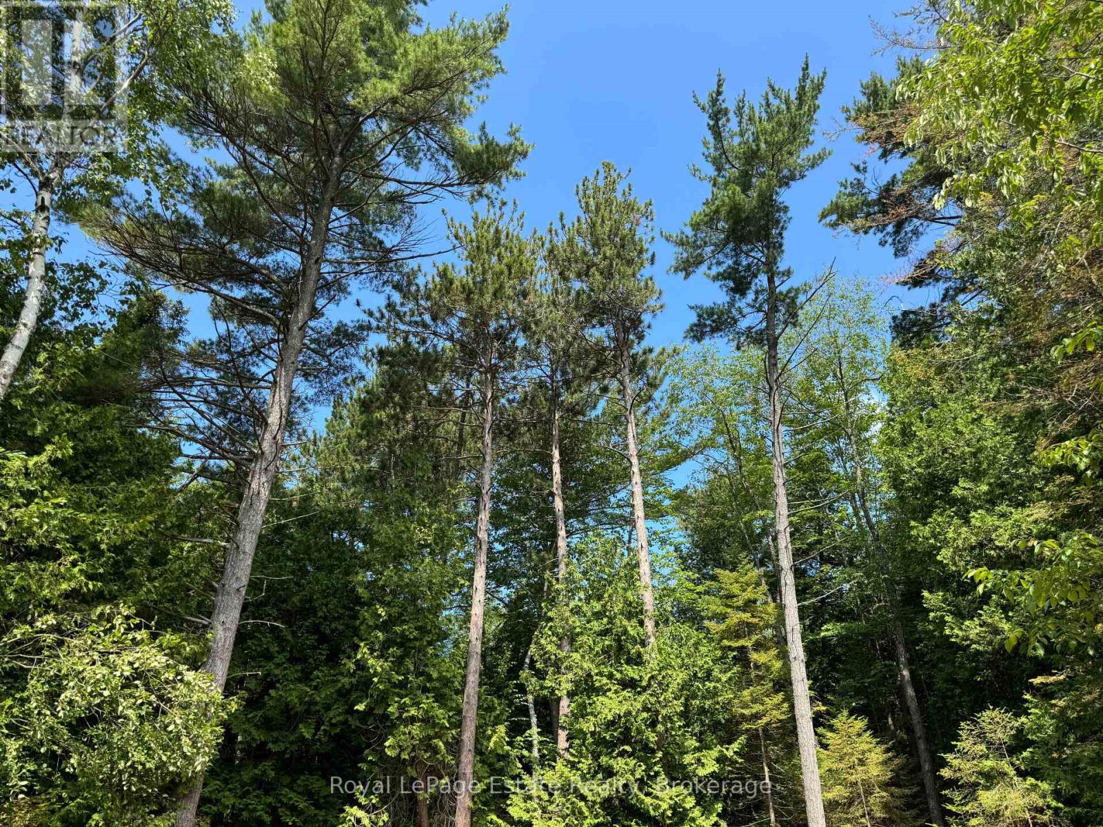 234 Ogimah Road, Native Leased Lands, Ontario  N0H 2G0 - Photo 37 - X12284241