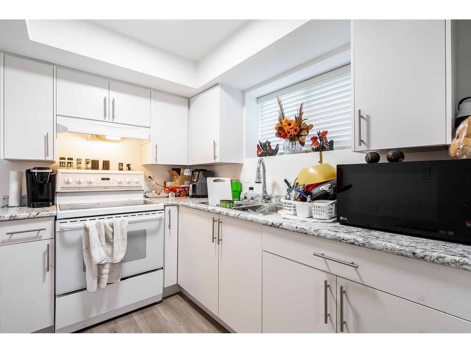 7902 Heron Street, Mission, British Columbia  V2V 6A1 - Photo 8 - R3026741