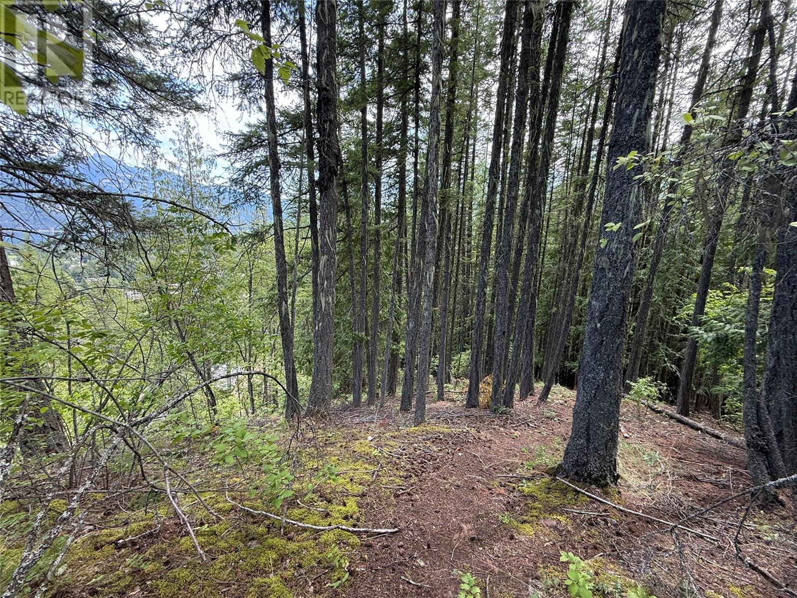 A Avenue Lot# 6-8, kaslo, British Columbia