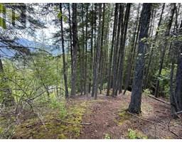 A Avenue Lot# 6-8, kaslo, British Columbia