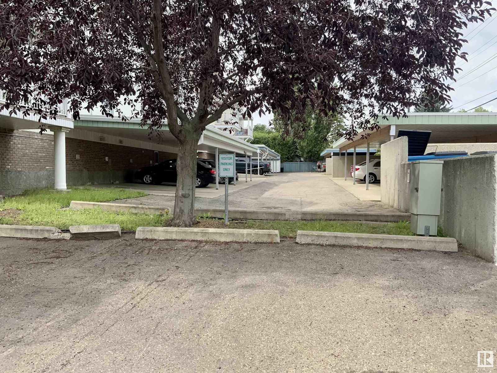#34 9914 80 Av Nw, Edmonton, Alberta  T6E 6L6 - Photo 46 - E4447714