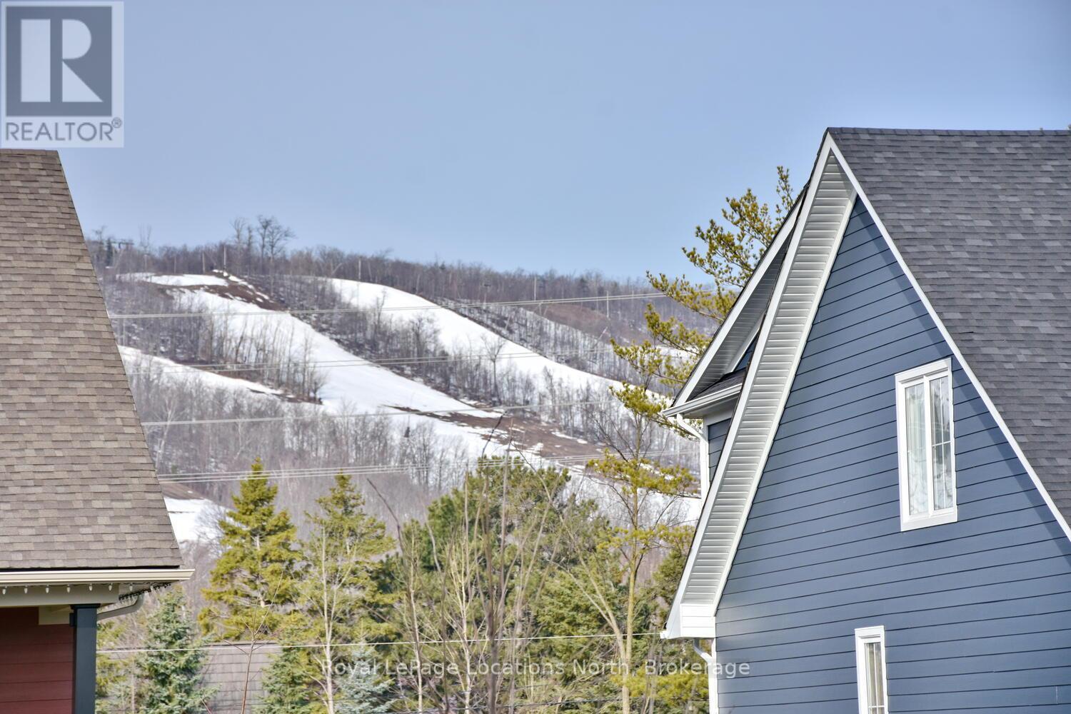 163 Courtland Street, Blue Mountains, Ontario  L9Y 5L7 - Photo 33 - X12284485