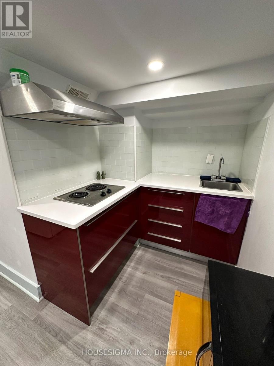 Lower - 48 Euclid Avenue, Toronto, Ontario  M6J 2J6 - Photo 8 - C12284580