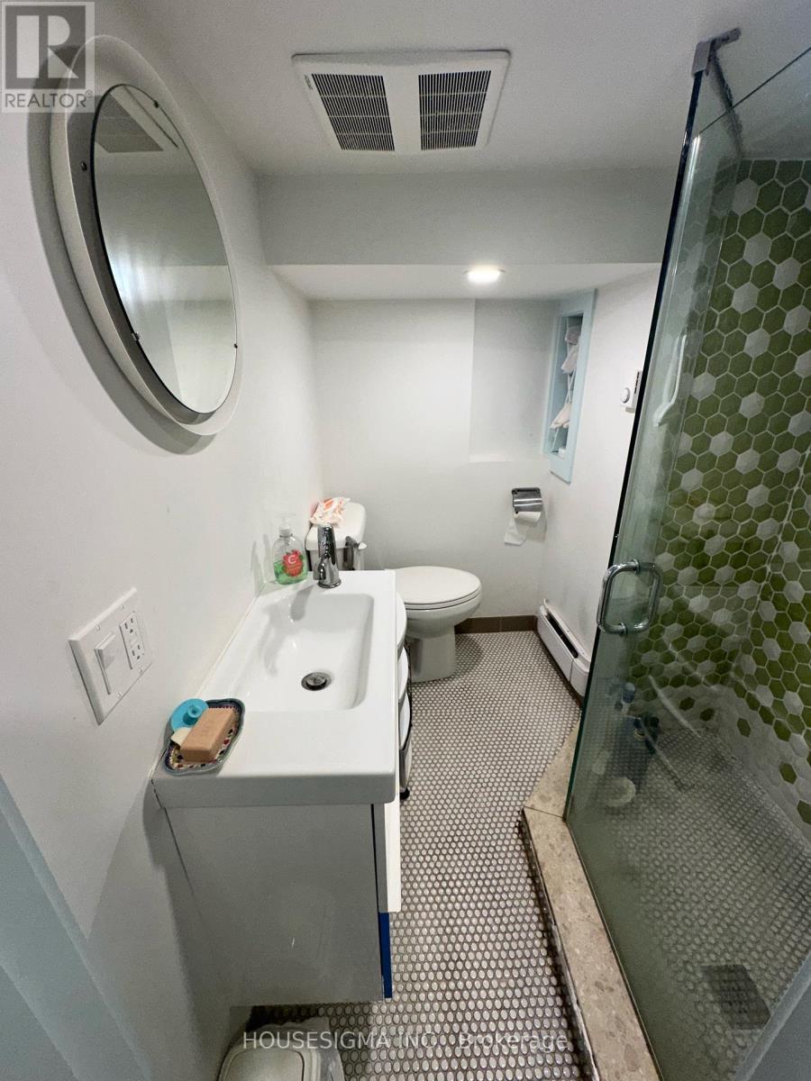 Lower - 48 Euclid Avenue, Toronto, Ontario  M6J 2J6 - Photo 9 - C12284580