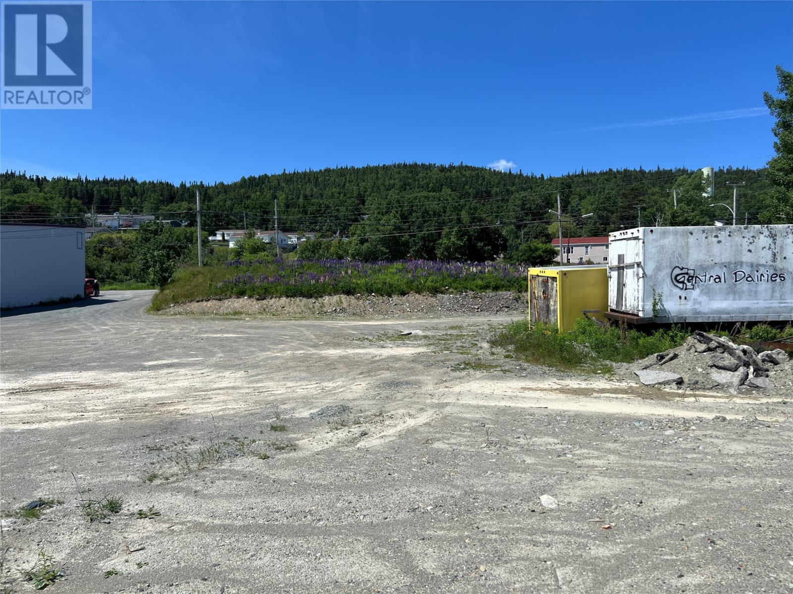71 Highway 410, Baie Verte, Newfoundland & Labrador  A0K 1B0 - Photo 10 - 1287747