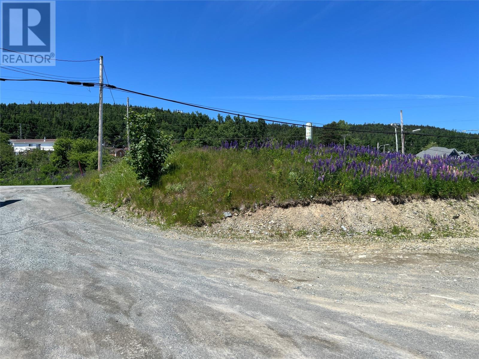 71 Highway 410, Baie Verte, Newfoundland & Labrador  A0K 1B0 - Photo 11 - 1287747