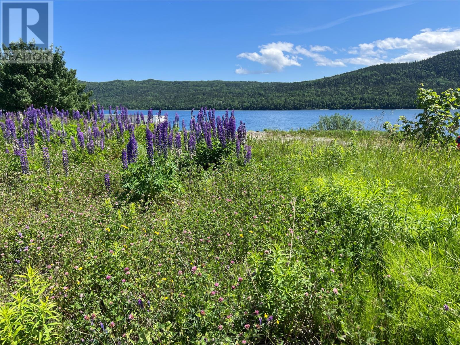 71 Highway 410, Baie Verte, Newfoundland & Labrador  A0K 1B0 - Photo 12 - 1287747