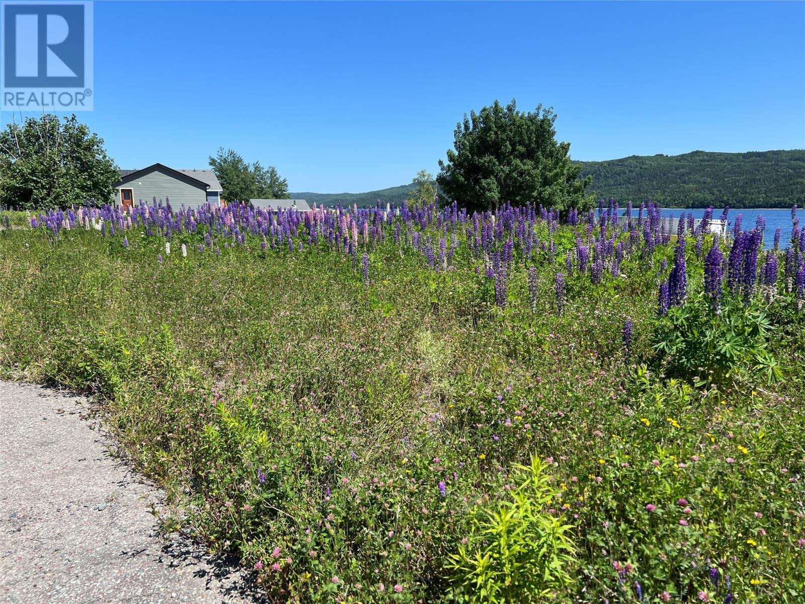 71 Highway 410, Baie Verte, Newfoundland & Labrador  A0K 1B0 - Photo 13 - 1287747