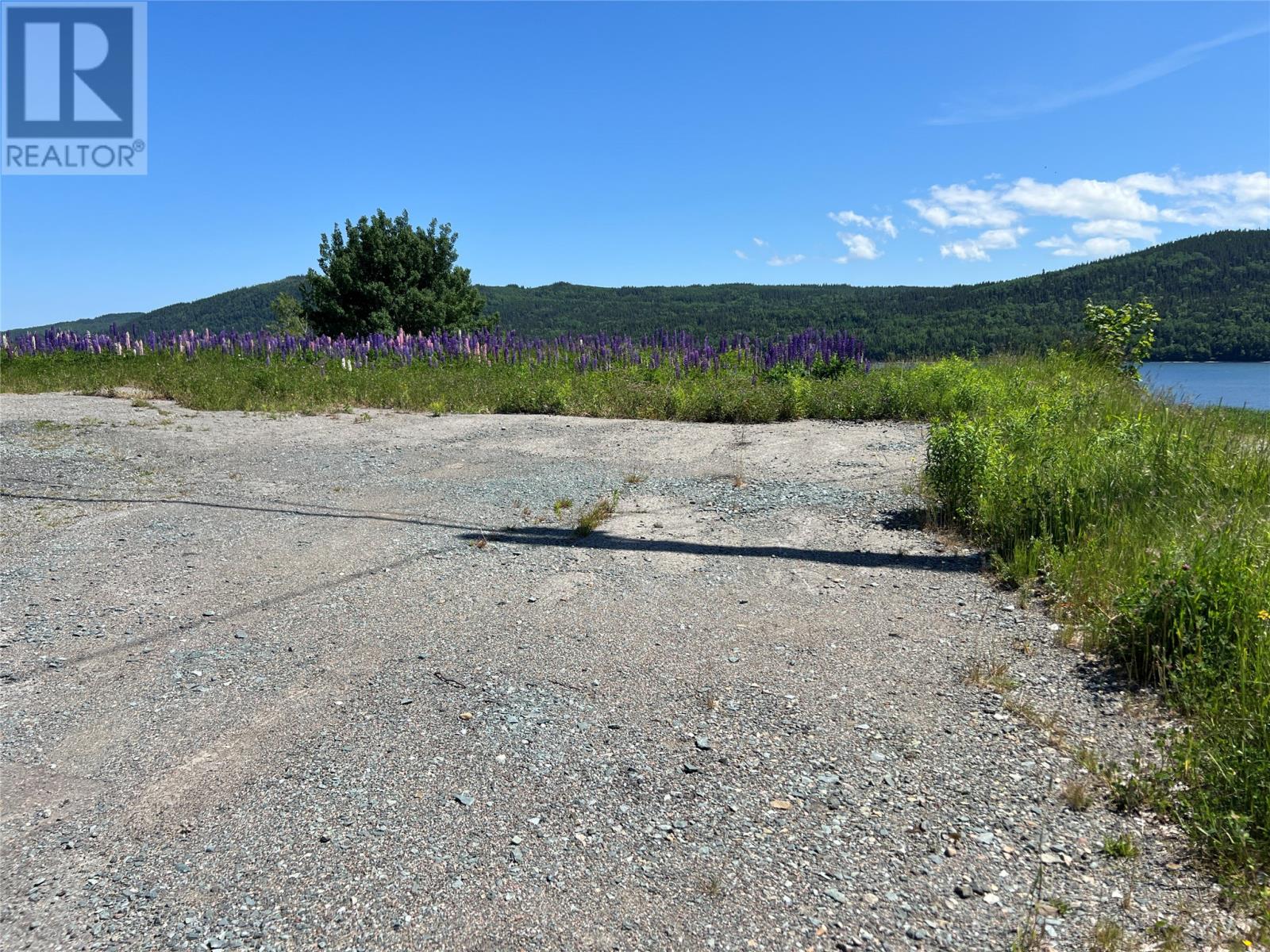 71 Highway 410, Baie Verte, Newfoundland & Labrador  A0K 1B0 - Photo 3 - 1287747