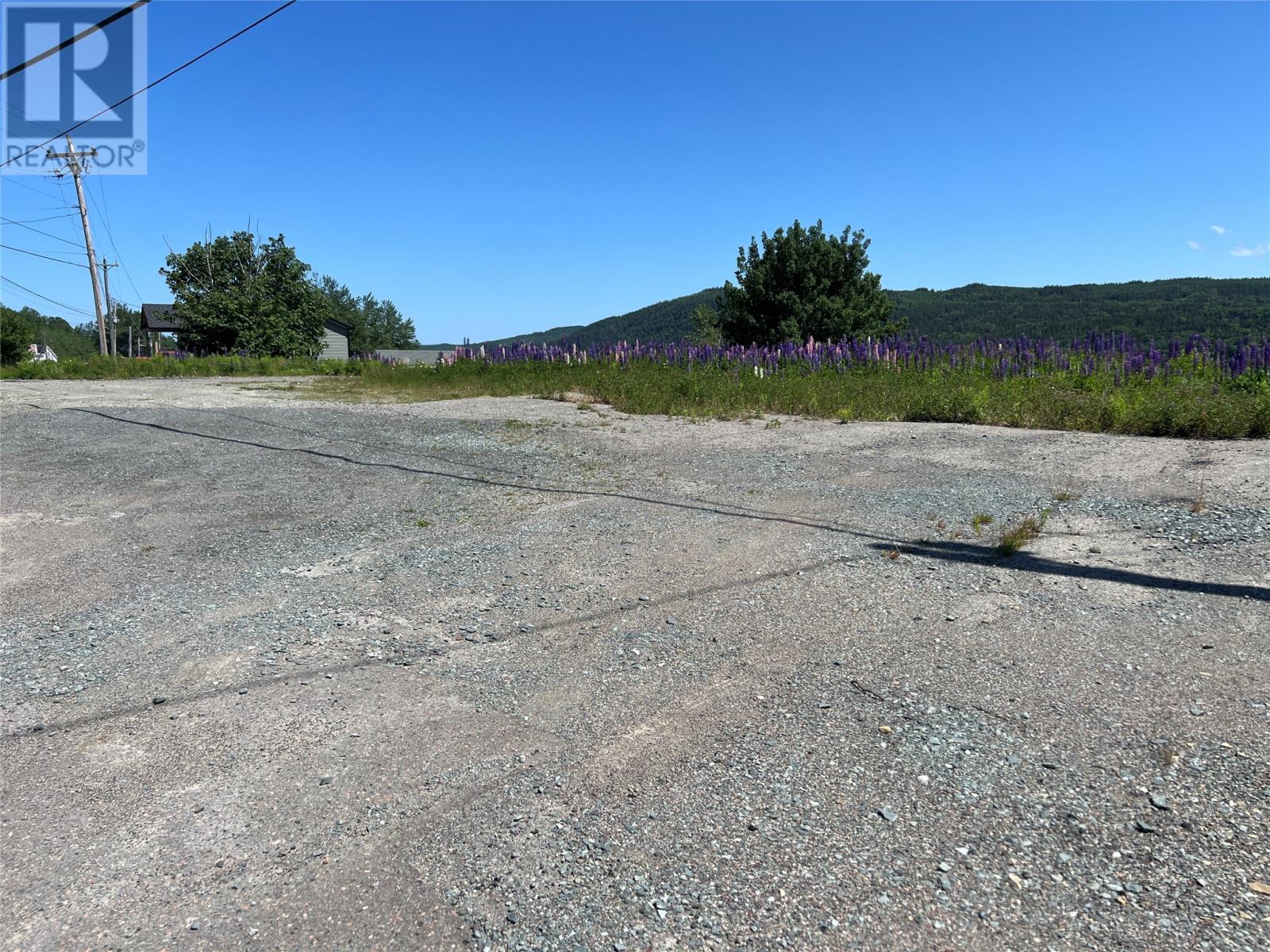 71 Highway 410, Baie Verte, Newfoundland & Labrador  A0K 1B0 - Photo 4 - 1287747