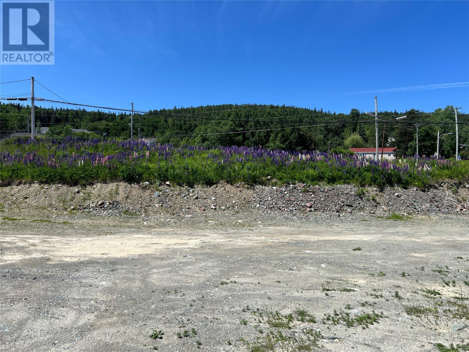 71 Highway 410, Baie Verte, Newfoundland & Labrador  A0K 1B0 - Photo 5 - 1287747