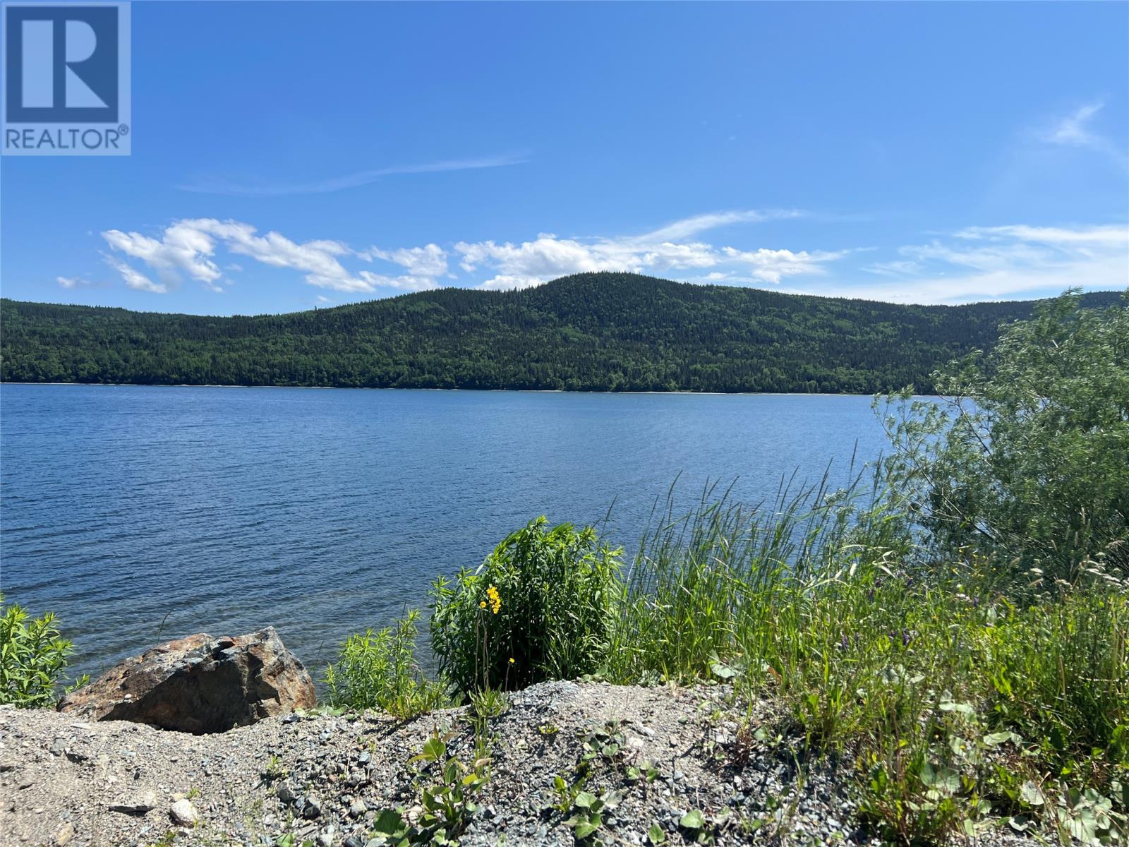 71 Highway 410, Baie Verte, Newfoundland & Labrador  A0K 1B0 - Photo 8 - 1287747