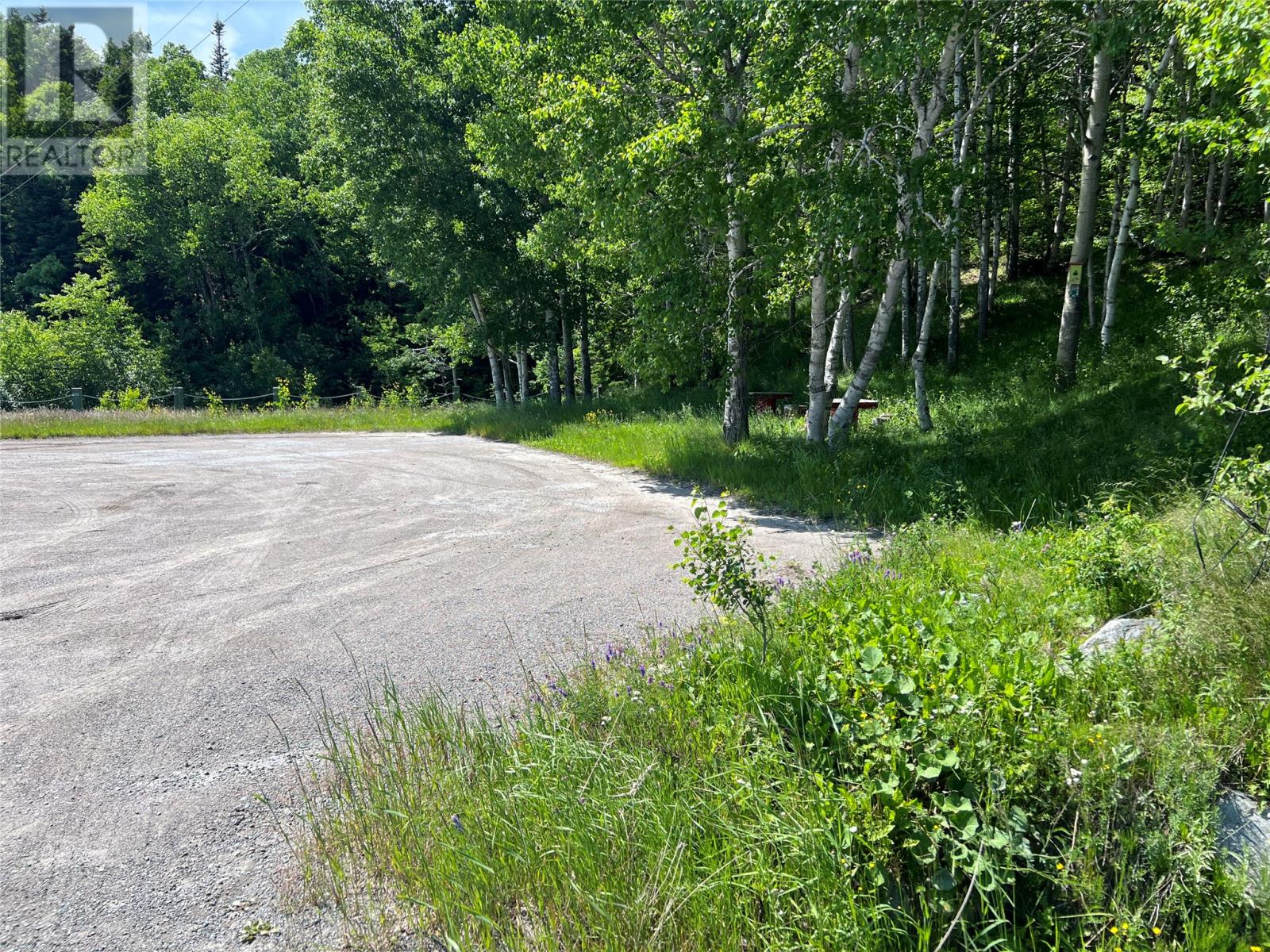 00 Highway 410, Baie Verte, Newfoundland & Labrador  A0K 1B0 - Photo 2 - 1287696