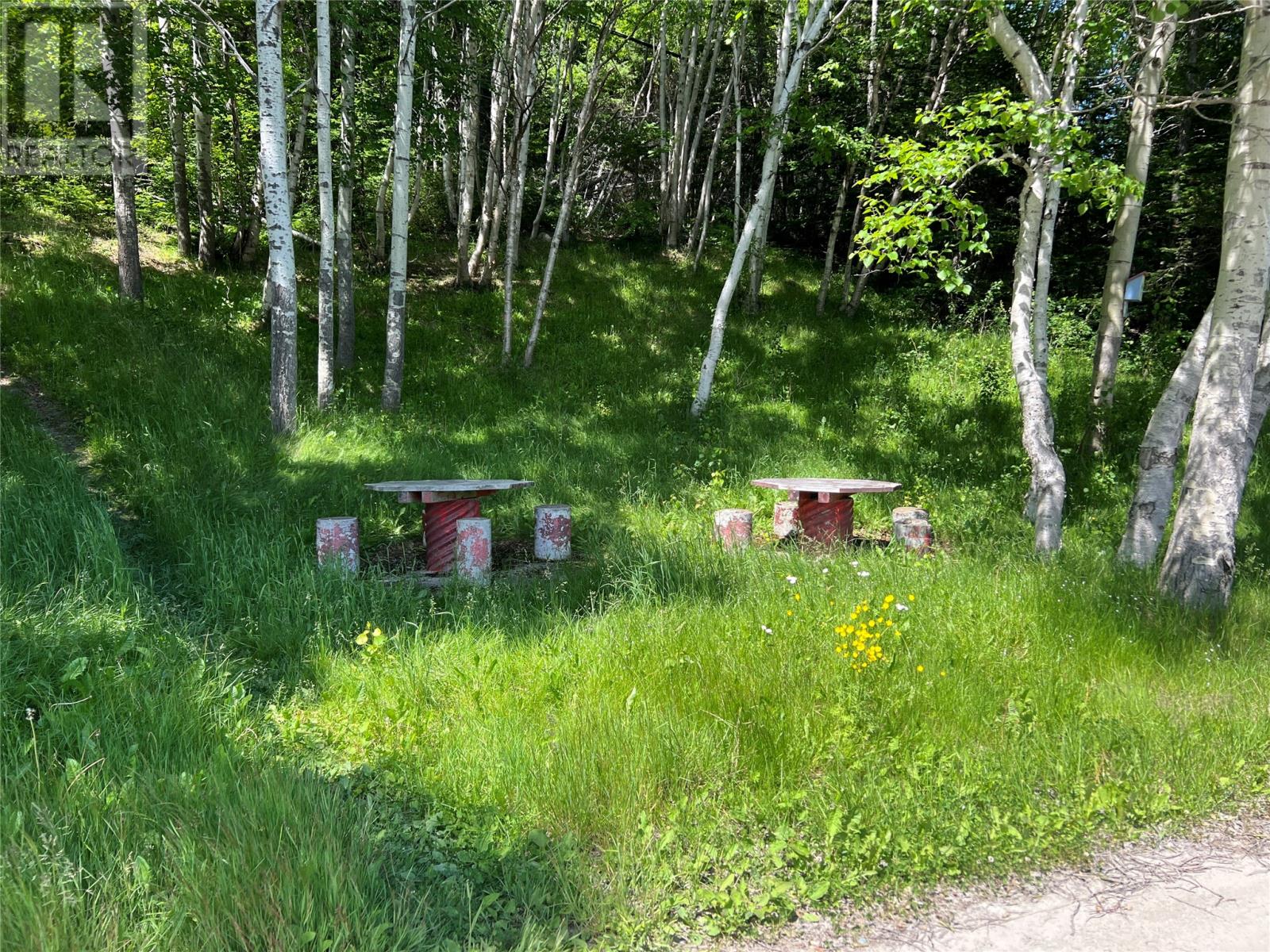 00 Highway 410, Baie Verte, Newfoundland & Labrador  A0K 1B0 - Photo 4 - 1287696