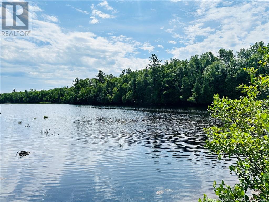 11.94 Acres Bay Du Vin River Road, Bay Du Vin, New Brunswick  E1N 5P4 - Photo 3 - NB122811