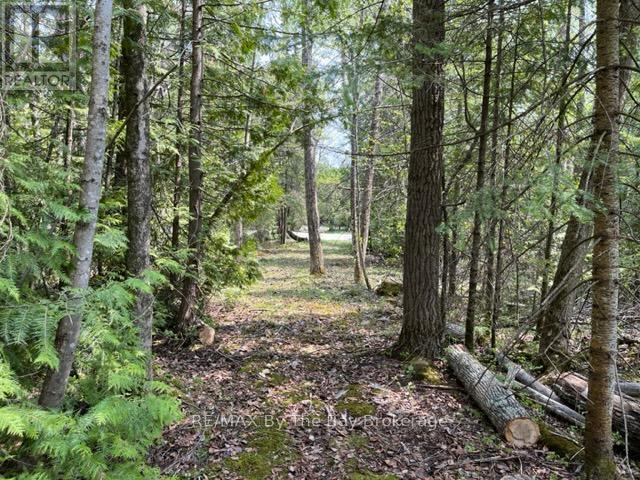 191-193 Mallory Beach Road, South Bruce Peninsula, Ontario  N0H 2T0 - Photo 10 - X12284802