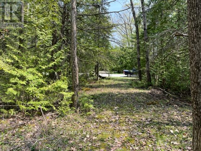 191-193 Mallory Beach Road, South Bruce Peninsula, Ontario  N0H 2T0 - Photo 11 - X12284802