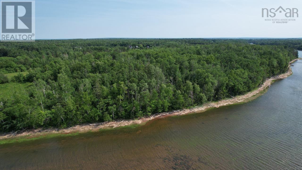 366 Highway Highway, Northport, Nova Scotia  B0L 1E0 - Photo 11 - 202515607