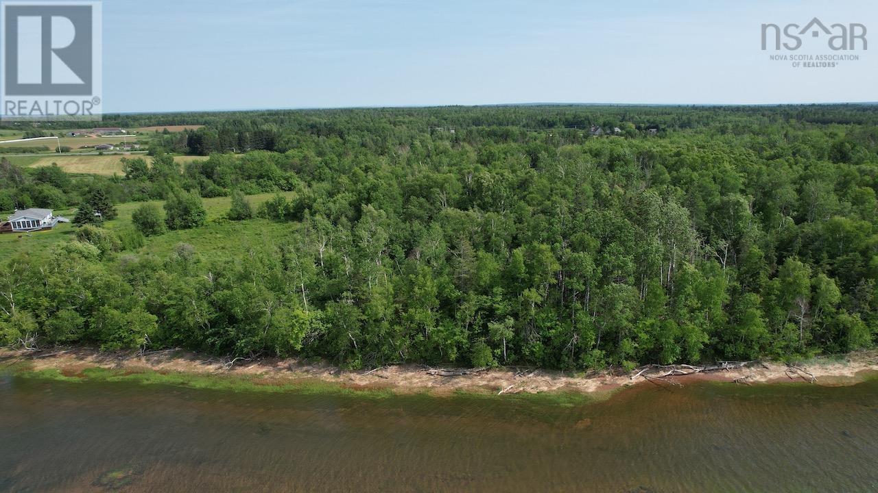 366 Highway Highway, Northport, Nova Scotia  B0L 1E0 - Photo 1 - 202515607