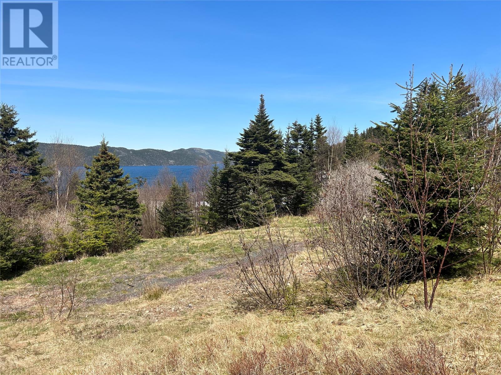 10 Main Road, Lower Lance Cove, Newfoundland & Labrador  A5A 1A1 - Photo 4 - 1287797