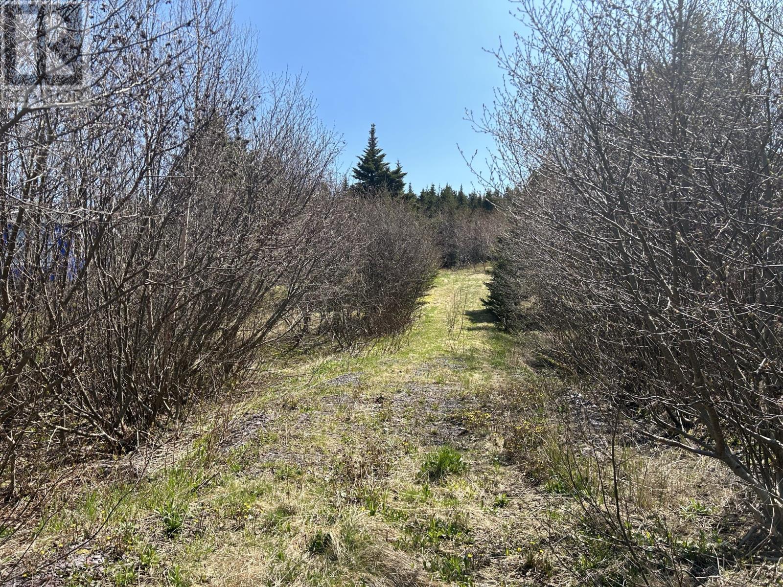 10 Main Road, Lower Lance Cove, Newfoundland & Labrador  A5A 1A1 - Photo 5 - 1287797