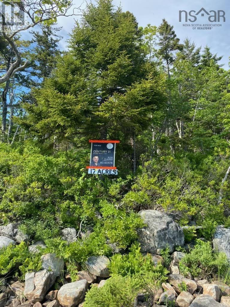 17 Acre Parcel, Lake Charlotte, Nova Scotia  B0J 2L0 - Photo 5 - 202516137