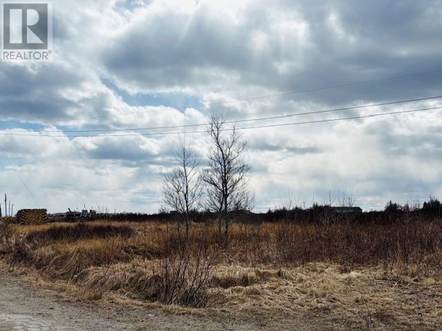35 Water Street, New Wes Valley, Newfoundland & Labrador  A0G 4R0 - Photo 1 - 1287817