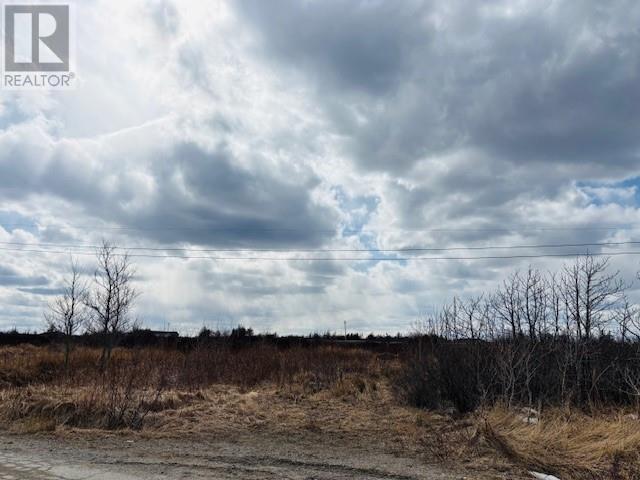 35 Water Street, New Wes Valley, Newfoundland & Labrador  A0G 4R0 - Photo 4 - 1287817