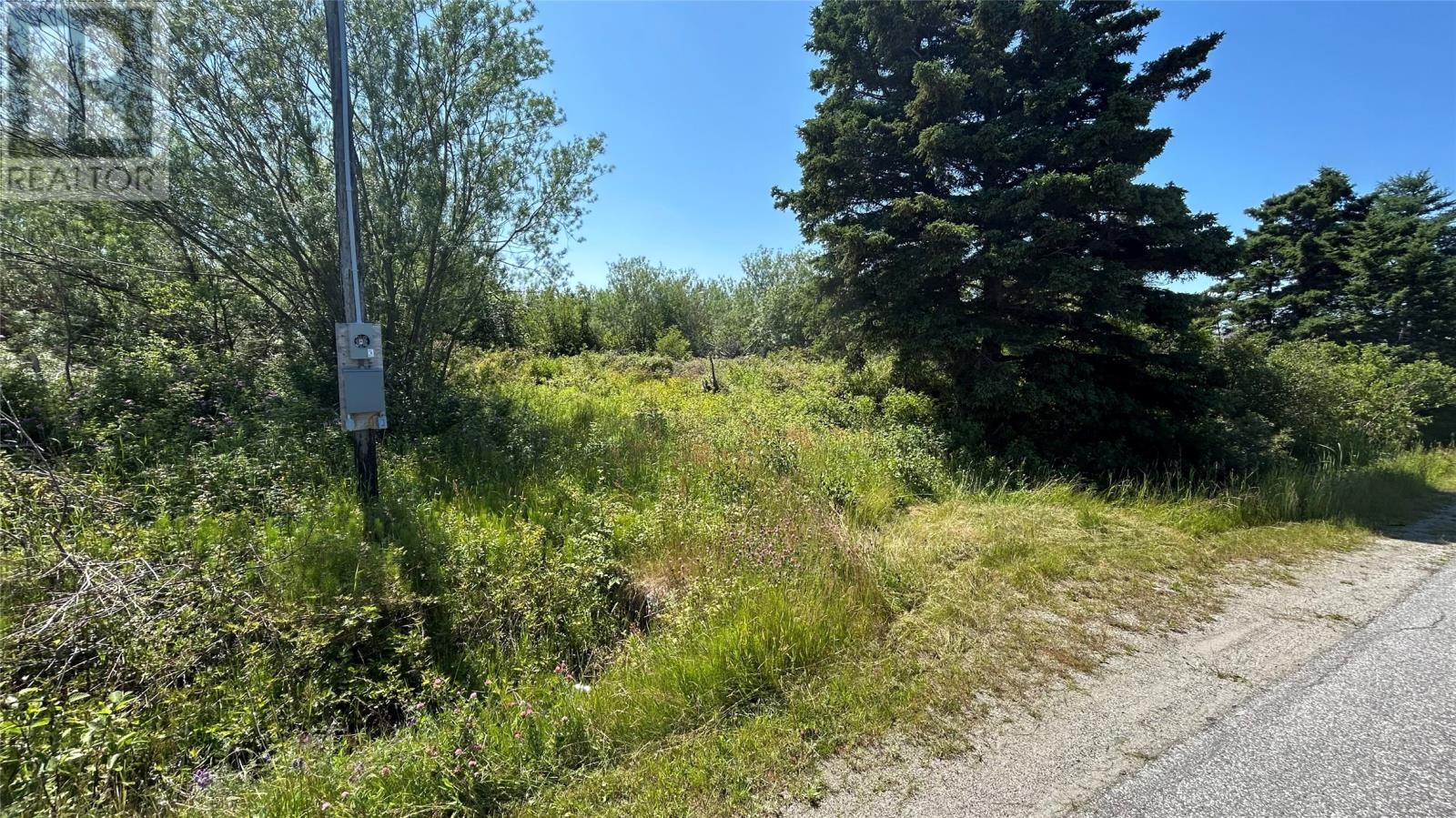 361 Main Street, St Georges, Newfoundland & Labrador  A0N 1Z0 - Photo 2 - 1287791