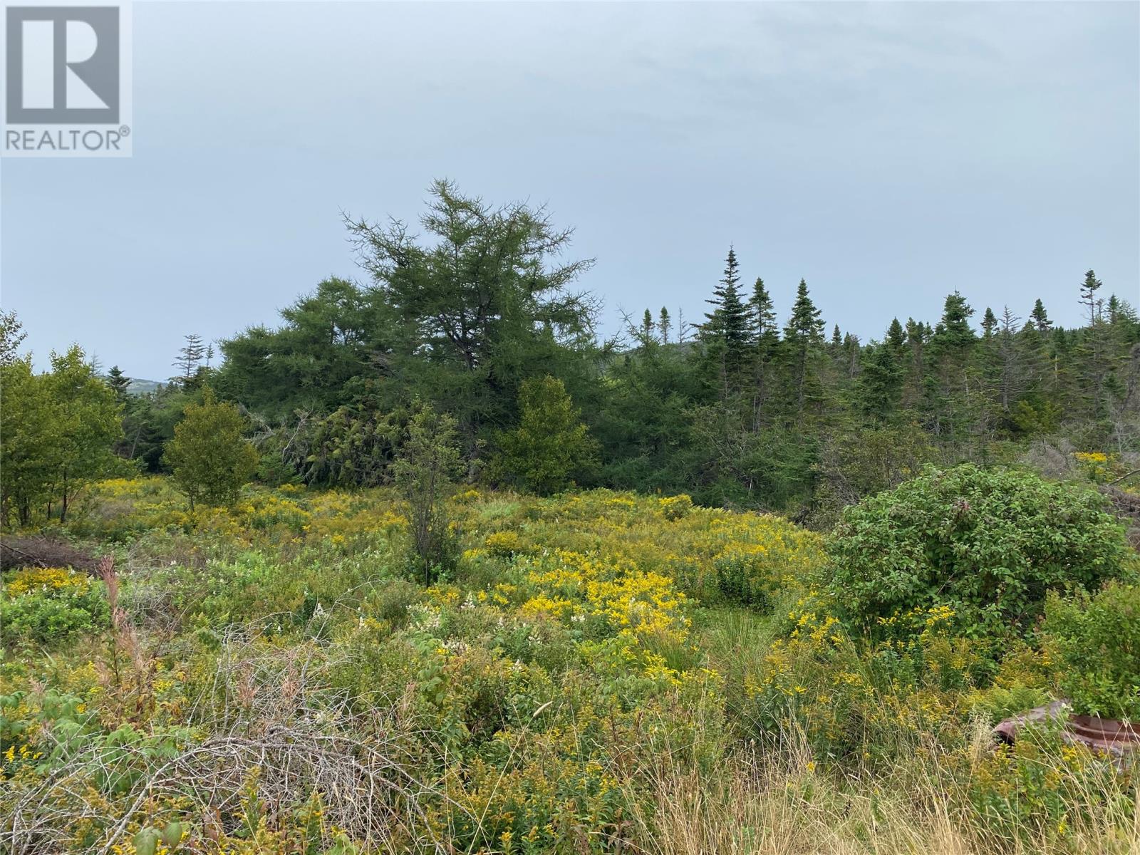 77-97 Country Road, Hearts Delight, Newfoundland & Labrador  A0B 2A0 - Photo 12 - 1287857