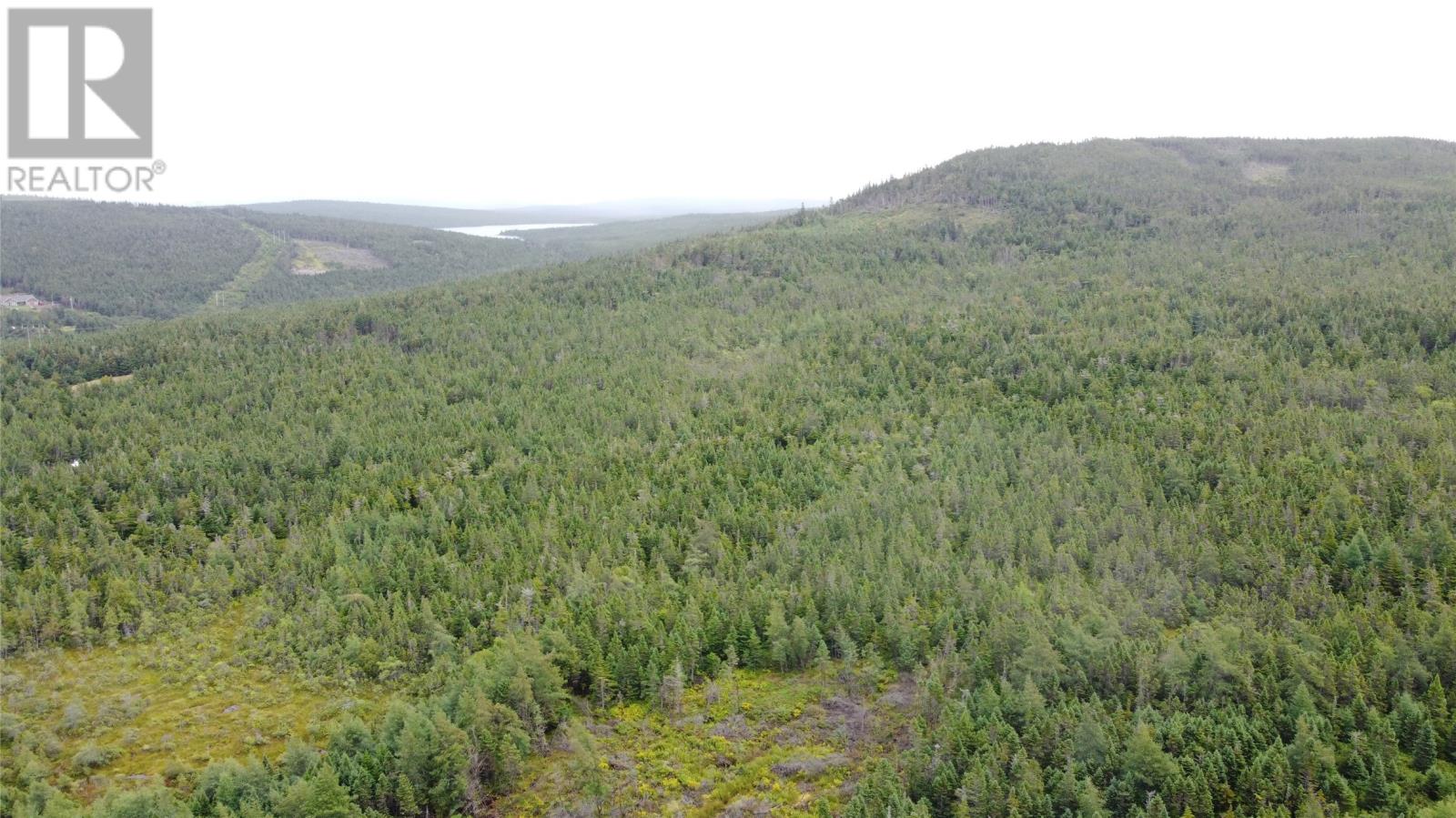 77-97 Country Road, Hearts Delight, Newfoundland & Labrador  A0B 2A0 - Photo 4 - 1287857
