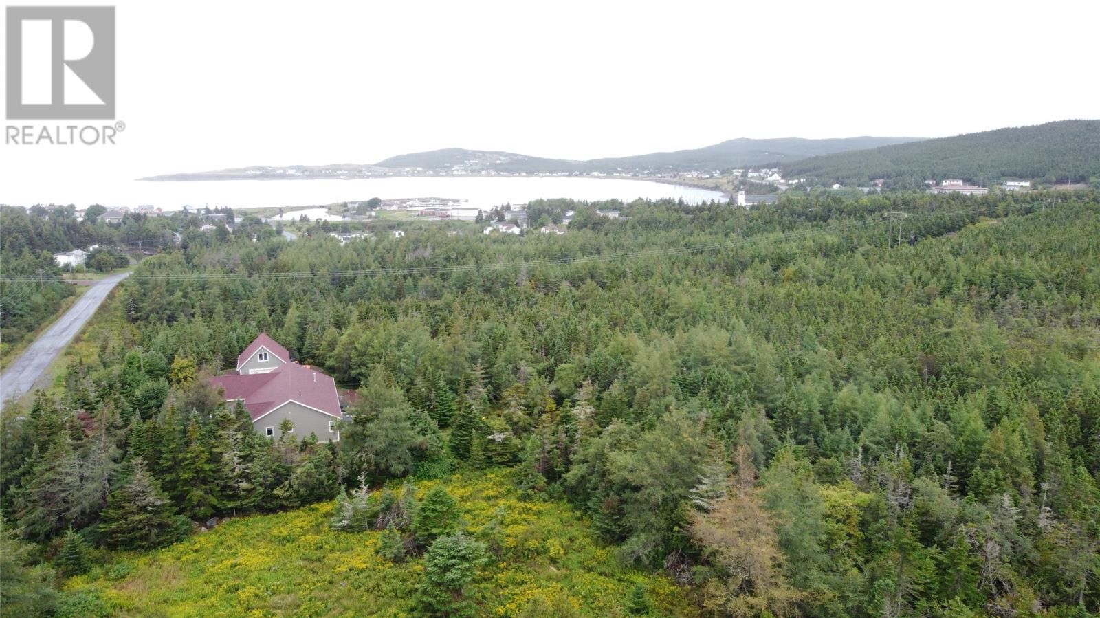 77-97 Country Road, Hearts Delight, Newfoundland & Labrador  A0B 2A0 - Photo 6 - 1287857