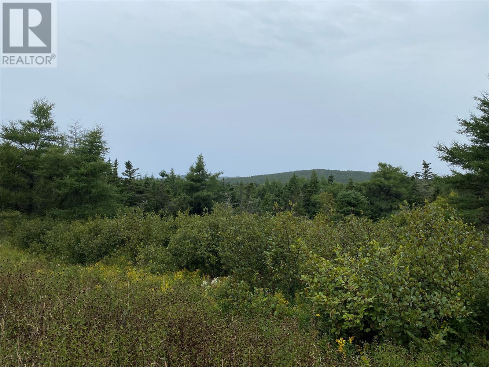 77-97 Country Road, Hearts Delight, Newfoundland & Labrador  A0B 2A0 - Photo 7 - 1287857