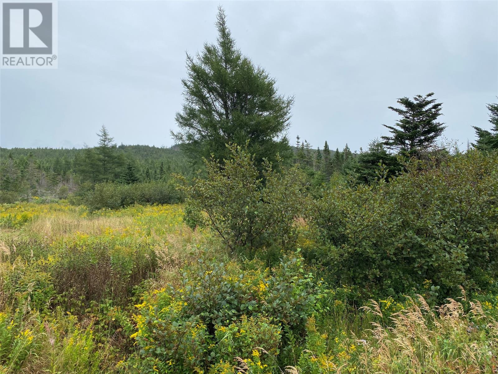 77-97 Country Road, Hearts Delight, Newfoundland & Labrador  A0B 2A0 - Photo 8 - 1287857